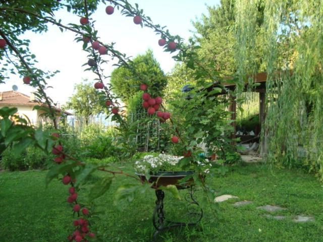 B&B Cherry En Rose Леццено Екстер'єр фото